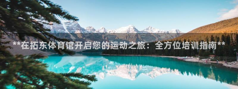焦点娱乐公司简介怎么写：**在拓东体育馆开启您的运动