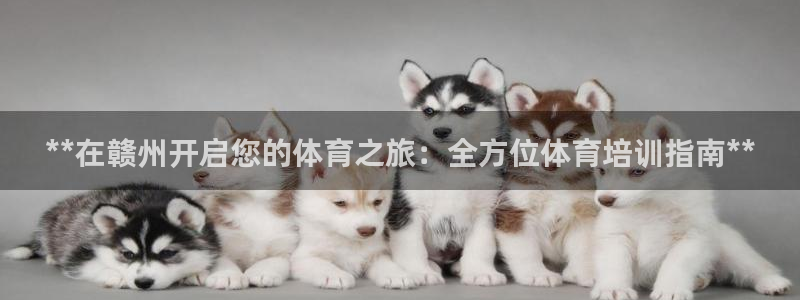 焦点娱乐平台注册账号是什么意思：**在赣州开启您的体