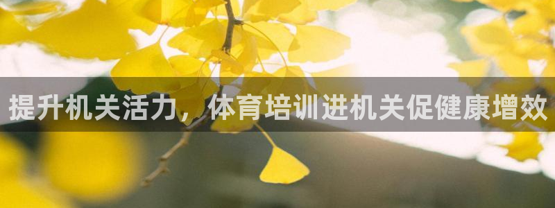 焦点娱乐怎么找：提升机关活力，体育培训进机关促健康增