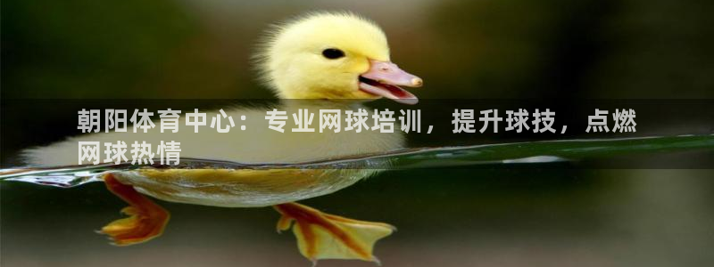 焦点娱乐如何注册账号的：朝阳体育中心：专业网球培训，