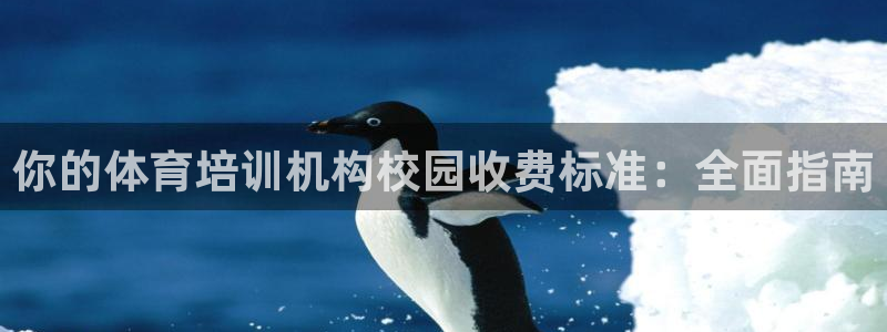 焦点娱乐官方网站首页：你的体育培训机构校园收费标准：