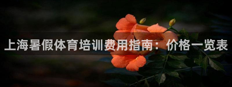焦点娱乐app下载官网：上海暑假体育培训费用指南：价