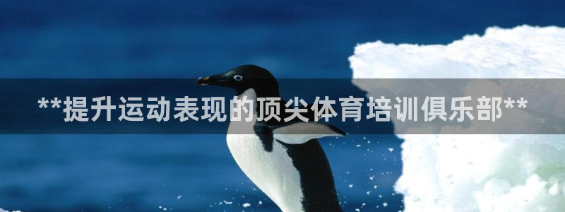 焦点娱乐全国总冠军有哪些：**提升运动表现的顶尖体育