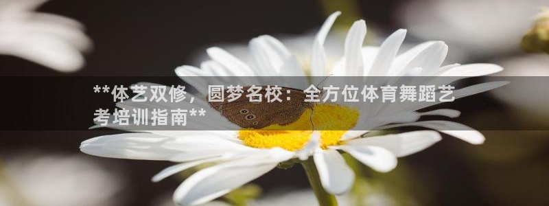 焦点娱乐挂机