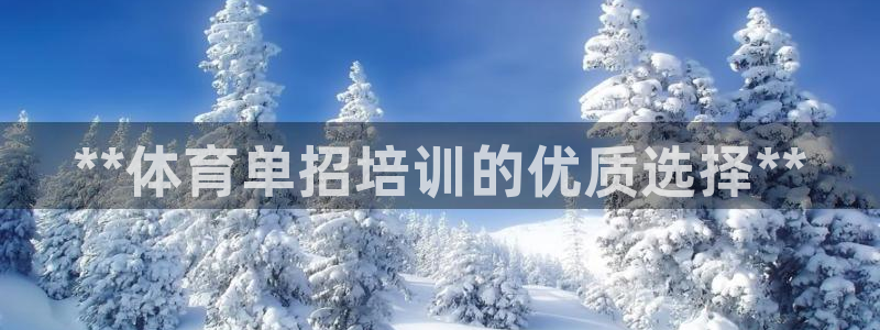 焦点娱乐vs皇族不败神话