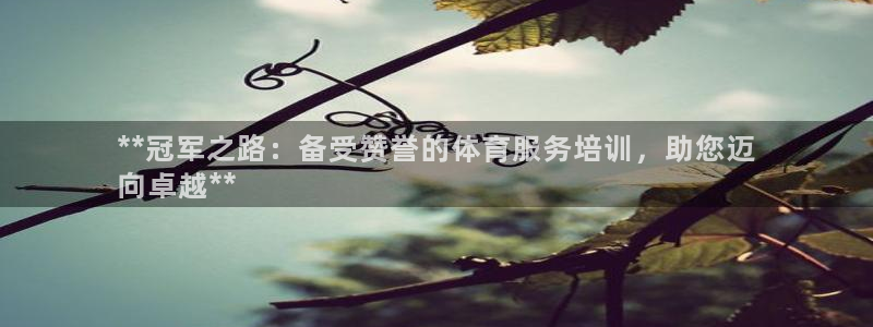 焦点娱乐有限公司：**冠军之路：备受赞誉的体育服务培