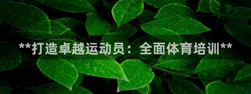 焦点娱乐游戏攻略：**打造卓越运动员：全面体育培训*