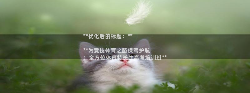 焦点娱乐下载手机版最新版：**优化后的标题：**

