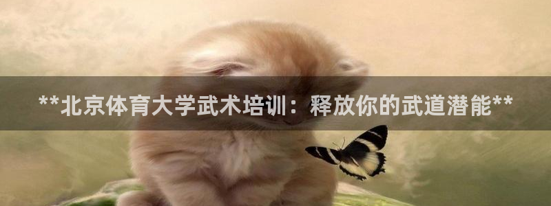 焦点娱乐游戏怎么玩教程：**北京体育大学武术培训：释