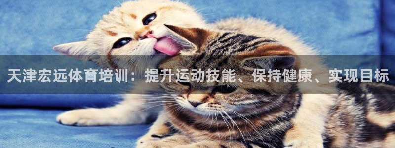 焦点娱乐官方网站首页下载手机版：天津宏远体育培训：提