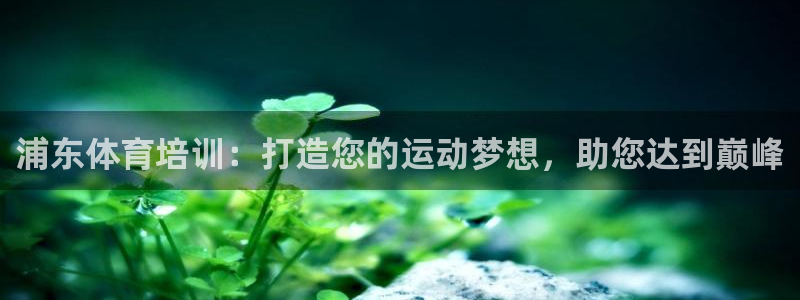 焦点娱乐游戏攻略大全：浦东体育培训：打造您的运动梦想