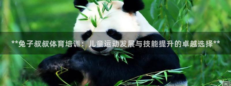 焦点娱乐传媒有限公司招聘要求：**兔子叔叔体育培训：