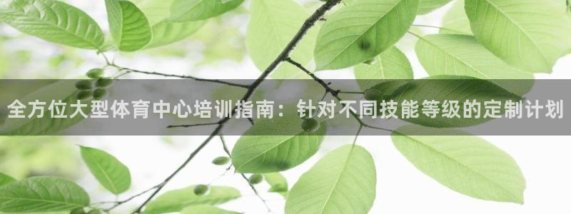 焦点娱乐拉菲10：全方位大型体育中心培训指南：针对不