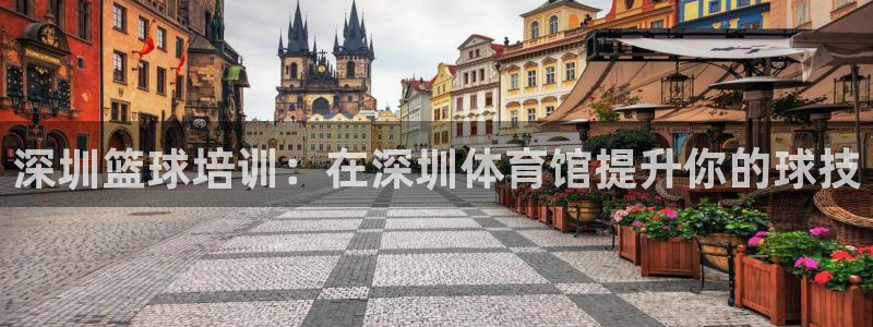焦点娱乐负责人：深圳篮球培训：在深圳体育馆提升你的球