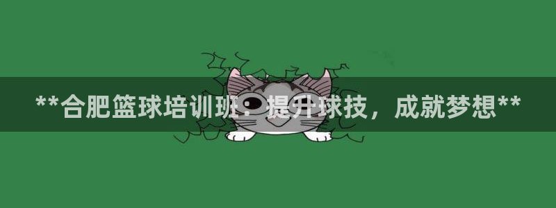 焦点娱乐黑平台：**合肥篮球培训班：提升球技，成就梦