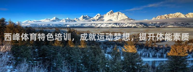 焦点娱乐网站下载地址在哪
