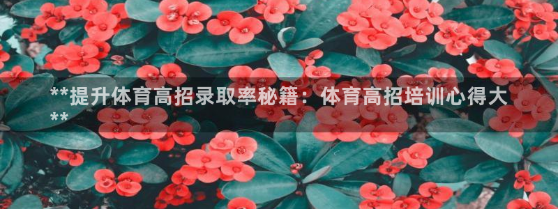 焦点娱乐全国总冠军是谁