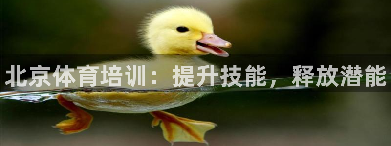 焦点娱乐招商注册 知乎：北京体育培训：提升技能，释放