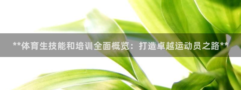 焦点娱乐议 411o31 娱乐：**体育生技能和培训