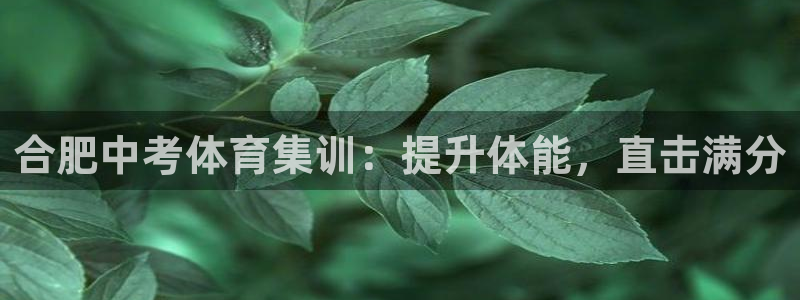 焦点娱乐不出款了吗：合肥中考体育集训：提升体能，直击