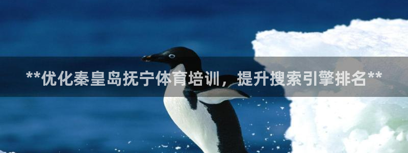 焦点娱乐加速器：**优化秦皇岛抚宁体育培训，提升搜索