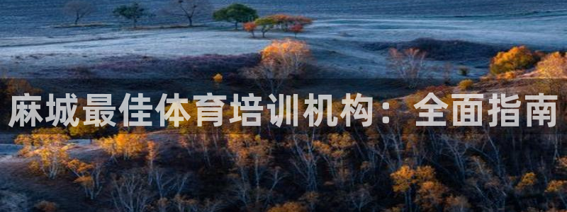 焦点娱乐公司简介图片：麻城最佳体育培训机构：全面指南