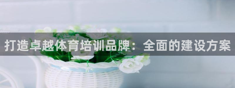 焦点娱乐平台例7O777：打造卓越体育培训品牌：全面