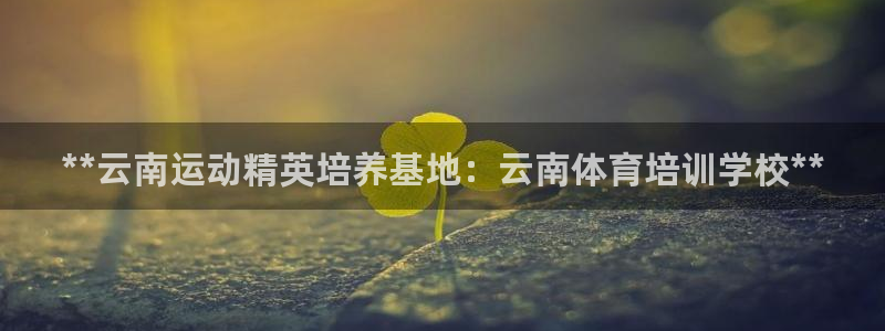 焦点娱乐平台是正规的吗知乎推荐：**云南运动精英培养