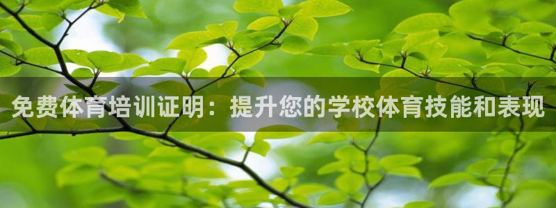 焦点娱乐传媒有限公司官网电话：免费体育培训证明：提升您的学校