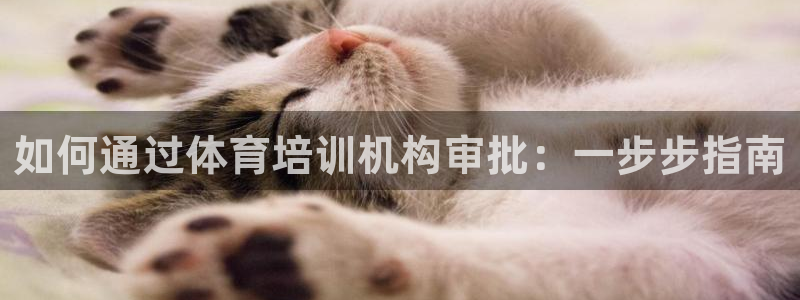 焦点娱乐有限公司怎么样：如何通过体育培训机构审批：一