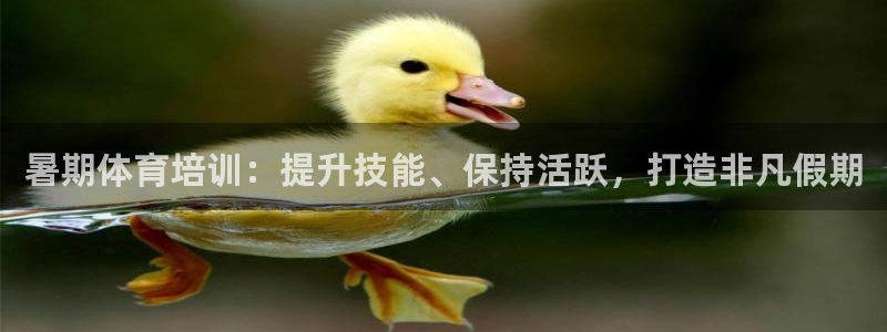 焦点娱乐说说句子：暑期体育培训：提升技能、保持活跃，