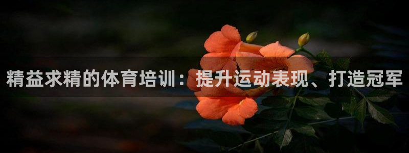 焦点娱乐平台主管：精益求精的体育培训：提升运动表现、