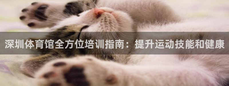 焦点娱乐官网首页下载手机版：深圳体育馆全方位培训指南：提升运