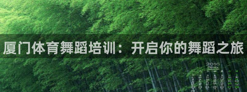 焦点娱乐游戏怎么玩的：厦门体育舞蹈培训：开启你的舞蹈