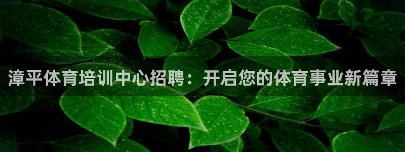 焦点娱乐传媒有限公司怎么样啊：漳平体育培训中心招聘：