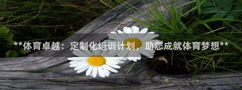 焦点娱乐官方网站入口下载安装：**体育卓越：定制化培