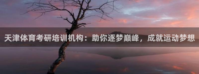 焦点娱乐什么意思
