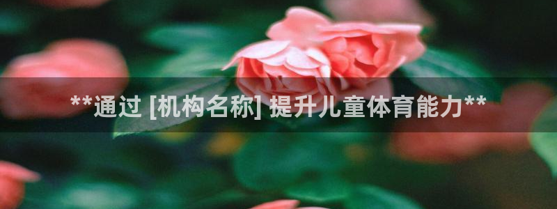 焦点娱乐传媒有限公司怎么样：**通过 [机构名称] 