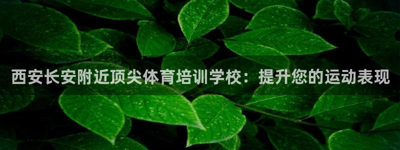 焦点娱乐家 5O6917 焦点