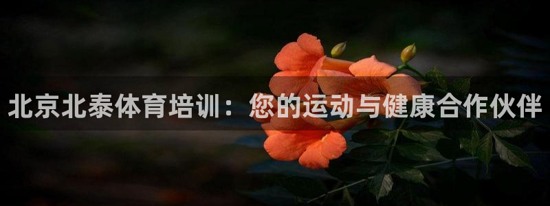 焦点娱乐传媒有限公司是干嘛的公司