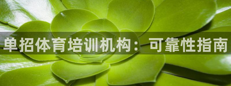 焦点娱乐平台注册账号是什么：单招体育培训机构：可靠性