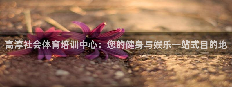 焦点娱乐官方网站首页入口下载