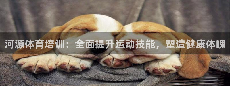 焦点娱乐平台登录不了怎么办：河源体育培训：全面提升运