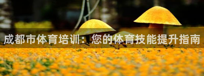 焦点娱乐官方网站下载安装手机版