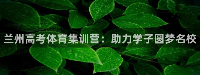 焦点娱乐跨服怎么玩