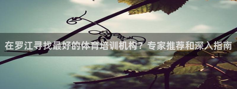 焦点娱乐平台登录不了了：在罗江寻找最好的体育培训机构
