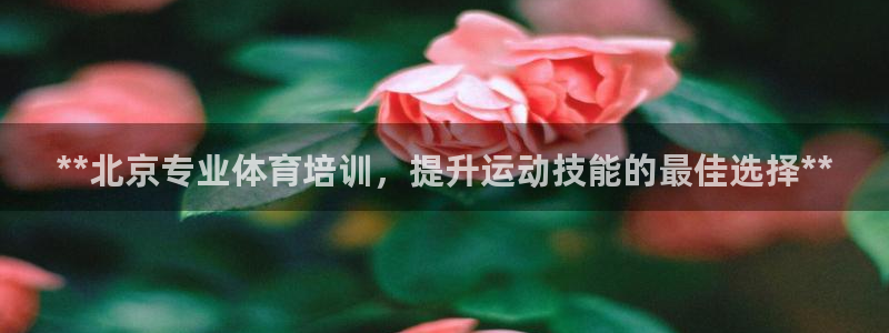 焦点娱乐传媒有限公司怎么样呀：**北京专业体育培训，