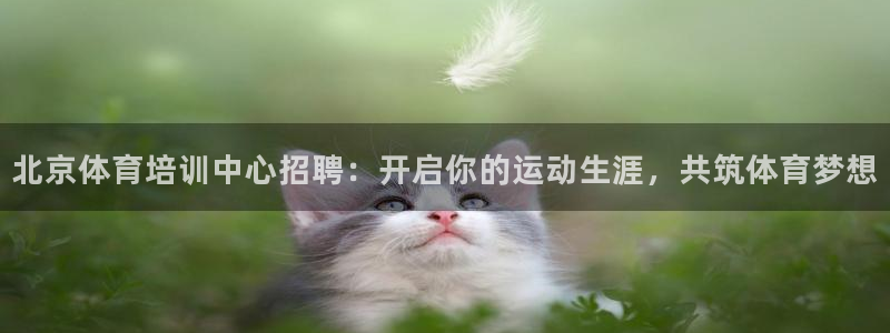 焦点娱乐拉菲11月12日