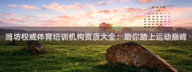 焦点娱乐官方网站入口下载手机版