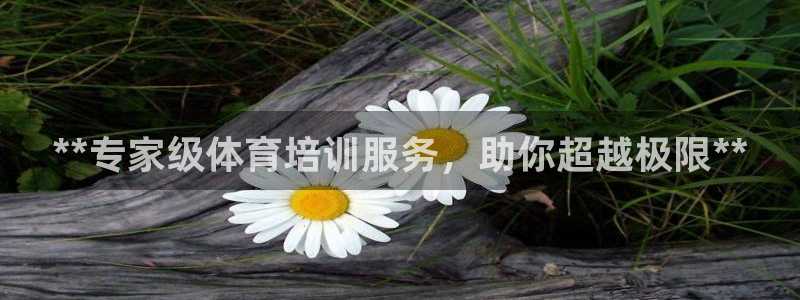 焦点娱乐公司简介图片